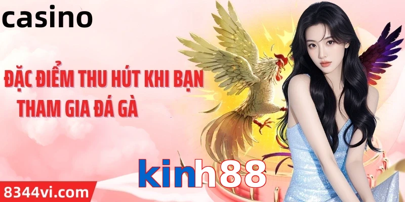 kinh88